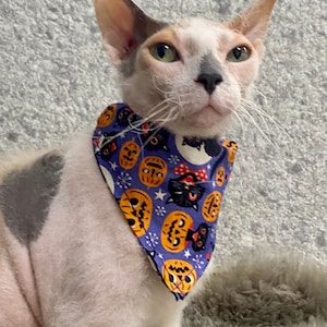 Halloween Cat bandana, Dog bandana, Pets bandana, Halloween accessories