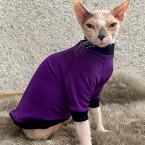 May include: A hairless cat wearing a purple sweater with black trim. The cat is sitting on a fluffy, light brown rug.