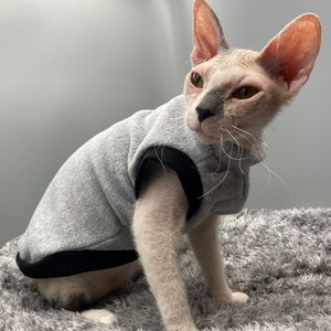 Pull chaud pour chat/chien, vêtements pour chat sphynx image 2