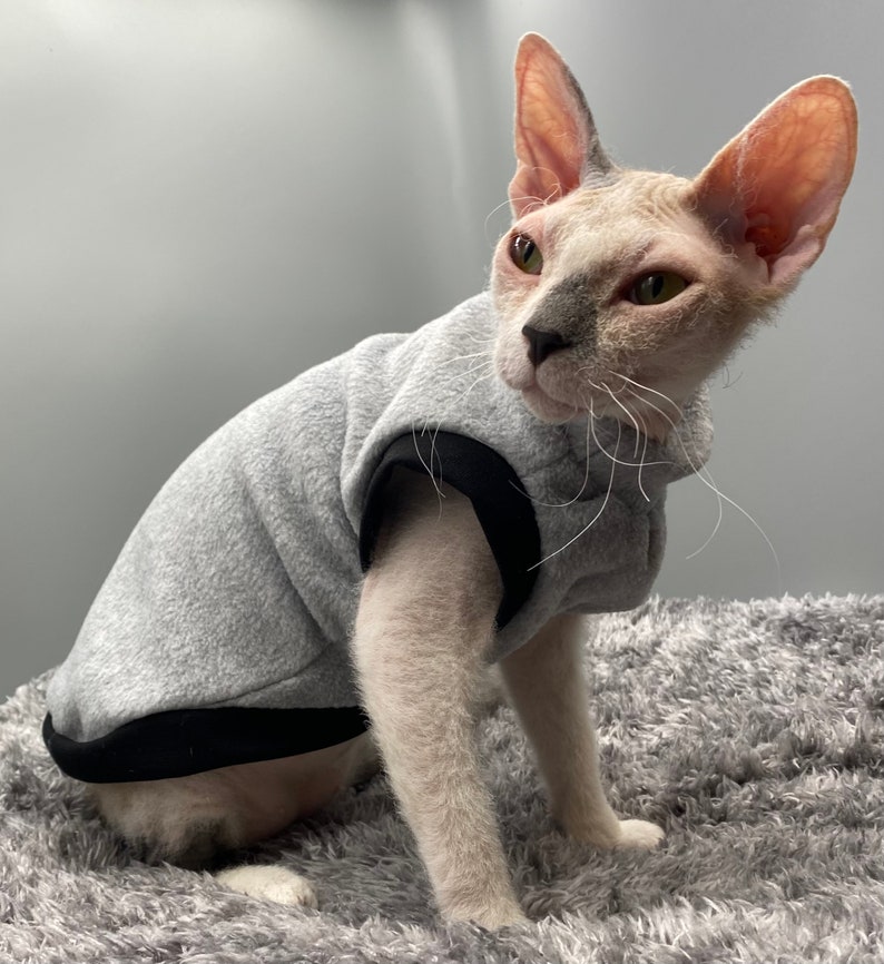 Pull chaud pour chat/chien, vêtements pour chat sphynx image 2