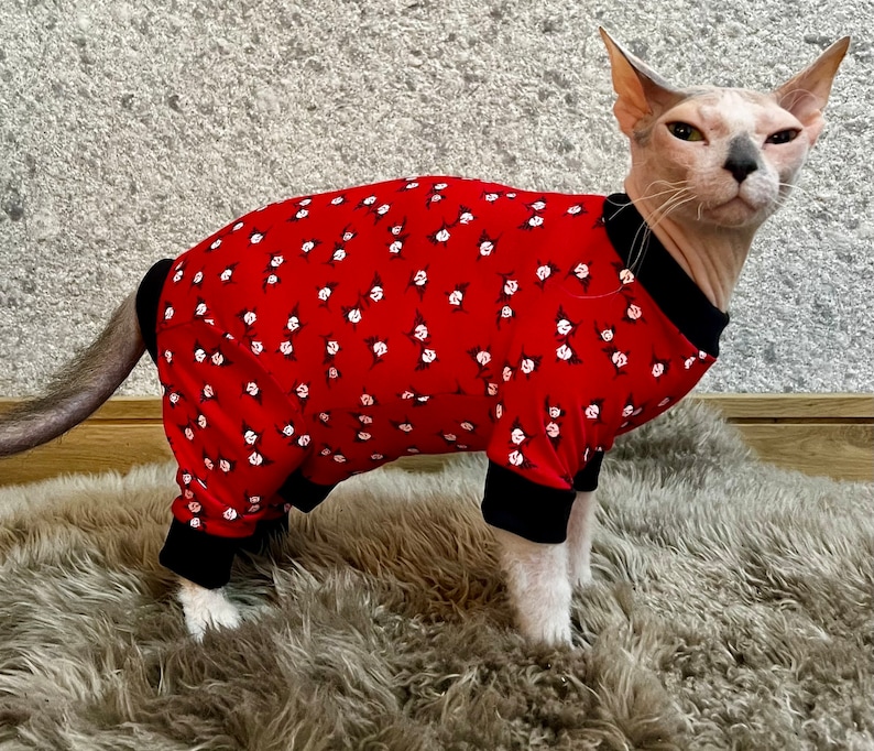 Comfortable and Trendy Sphynx Cat, Pajamas Perfectq Recovery, Suit All ...