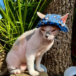 Hat for Sphynx & Bambino Cats – Lightweight Summer Cap
