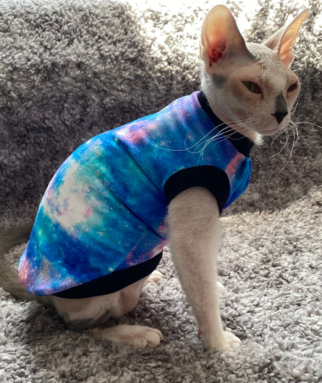 Sphynx Cat Clothes, Sphynx Clothing, Cat Clothes,hairless Cat Clothes