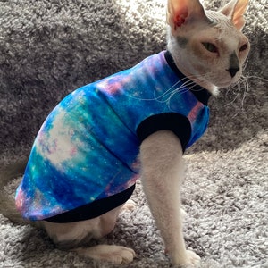 May include: A white hairless cat wearing a blue and pink galaxy print shirt with black trim. The cat is sitting on a gray fuzzy surface.