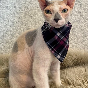 Cat bandana, Dog bandana, Pets bandana