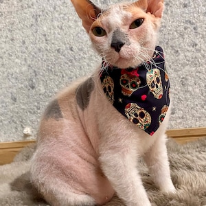Halloween Cat bandana, Dog bandana, Pets bandana, Halloween accessories