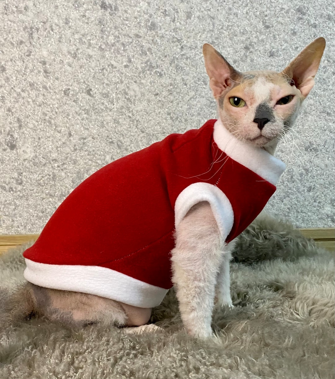 Christmas Gift for Cats Lovers, Christmas Cat Clothes, Sphynx Cat