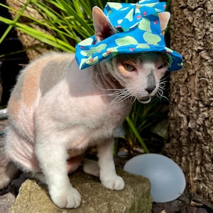 Hat for Sphynx & Bambino Cats – Lightweight Summer Cap