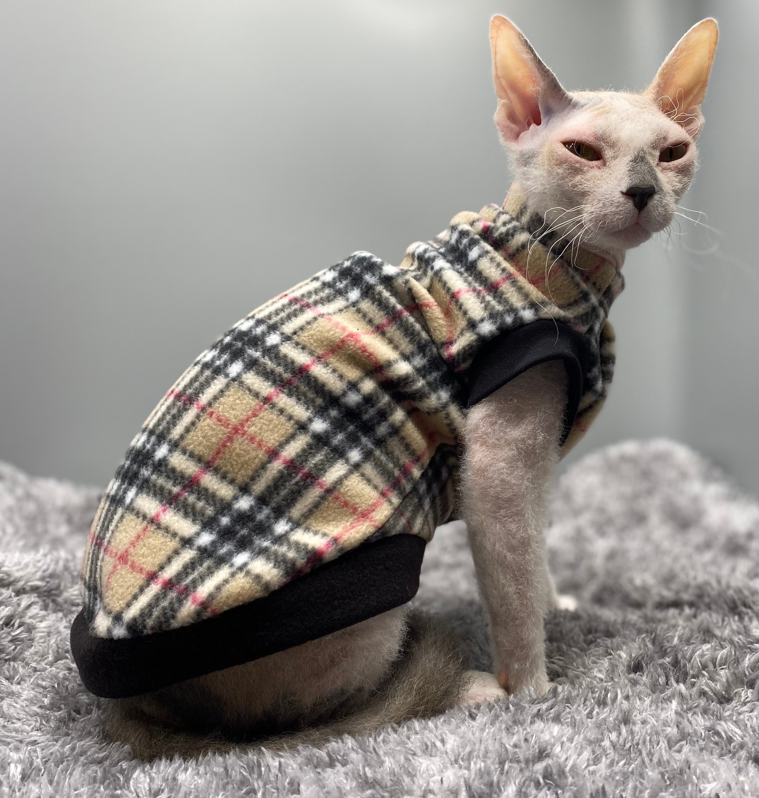 Sphynx Cat Fur Coat  Sphynx Fendi Coat, Fendi Coat for Cats