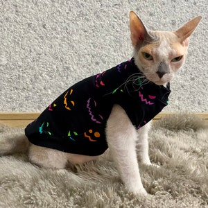 May include: A white hairless cat wearing a black Halloween-themed shirt with colorful jack-o'-lantern faces. The cat is sitting on a fluffy gray rug.