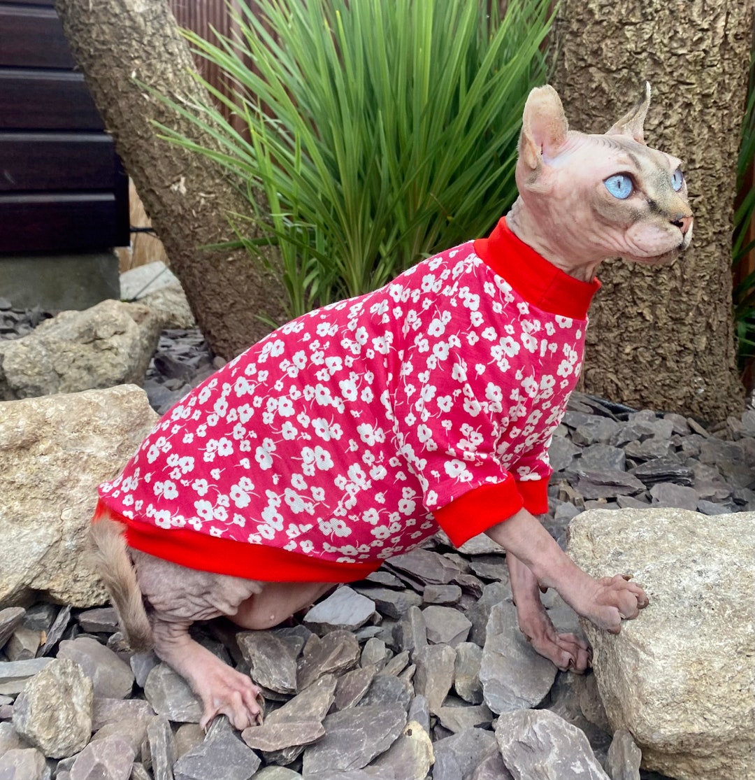 Sphynx Cat Clothes, Long Sleeve Sphynx Cat Jumper, Sphynx Clothes, Devon Rex Clothes, Cat