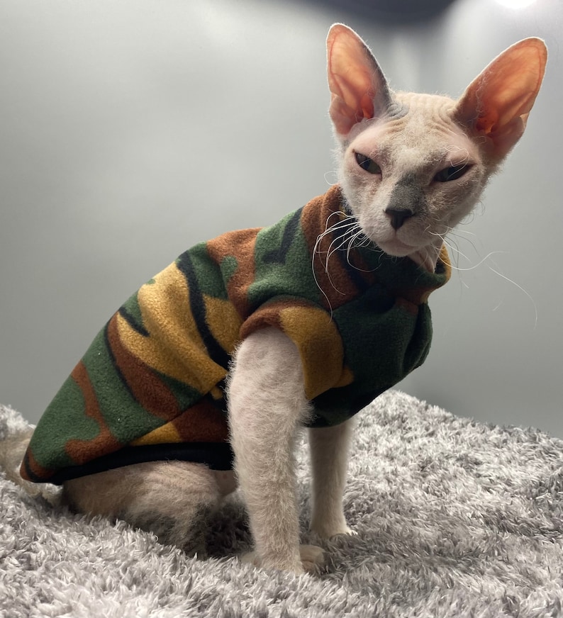 sphynx jumper