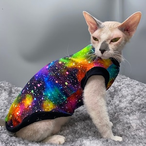 Puede incluir: Un gato Sphynx con una camiseta con estampado de galaxia y ribete negro. La camiseta presenta una vibrante mezcla de azules, morados, verdes y amarillos, que se asemeja a un cielo estrellado. El gato tiene la piel pálida y ojos verdes, sentado sobre una superficie gris.