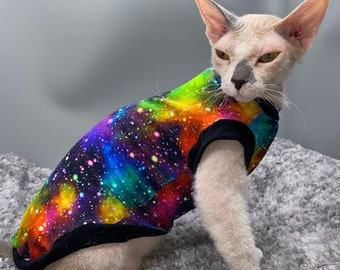 jumper cat