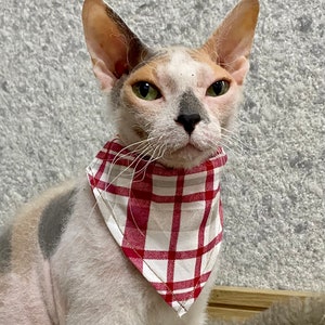 Cat bandana, Dog bandana, Pets bandana