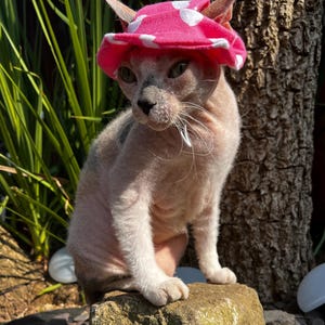 Hearts Print Cotton Hat for Sphynx & Bambino Cats – Lightweight Summer Cap
