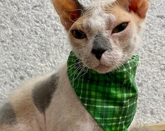 Bandana de chat, bandana de chien, bandana d'animaux de compagnie