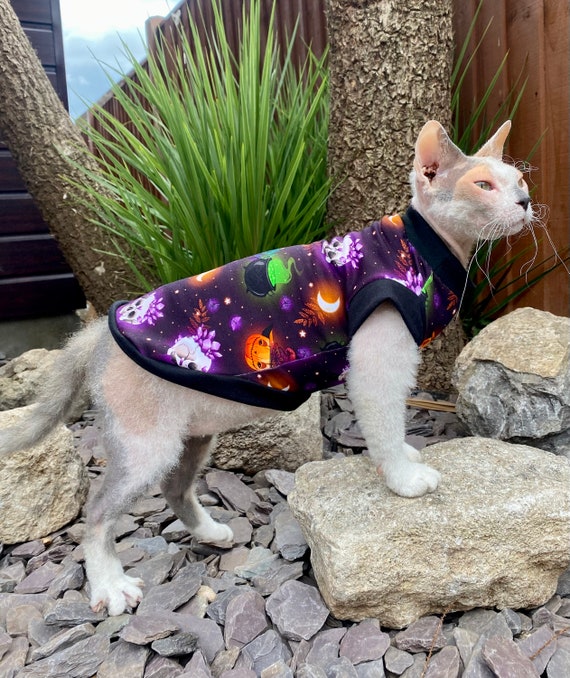 Cat jumpers for ladies 2025