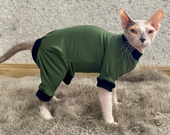 May include: A hairless cat wearing a green and black long-sleeved jumpsuit. The cat is standing on a light brown fluffy rug.