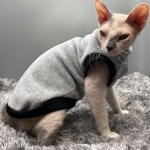 Pull chaud pour chat/chien, vêtements pour chat sphynx image 1