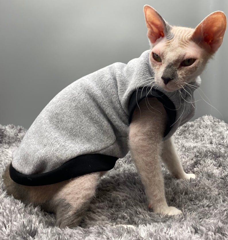 Warm cat/dog sweater, sphynx cat clothes image 1