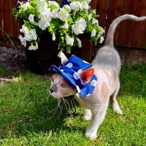 Hat for Sphynx & Bambino Cats – Lightweight Summer Cap