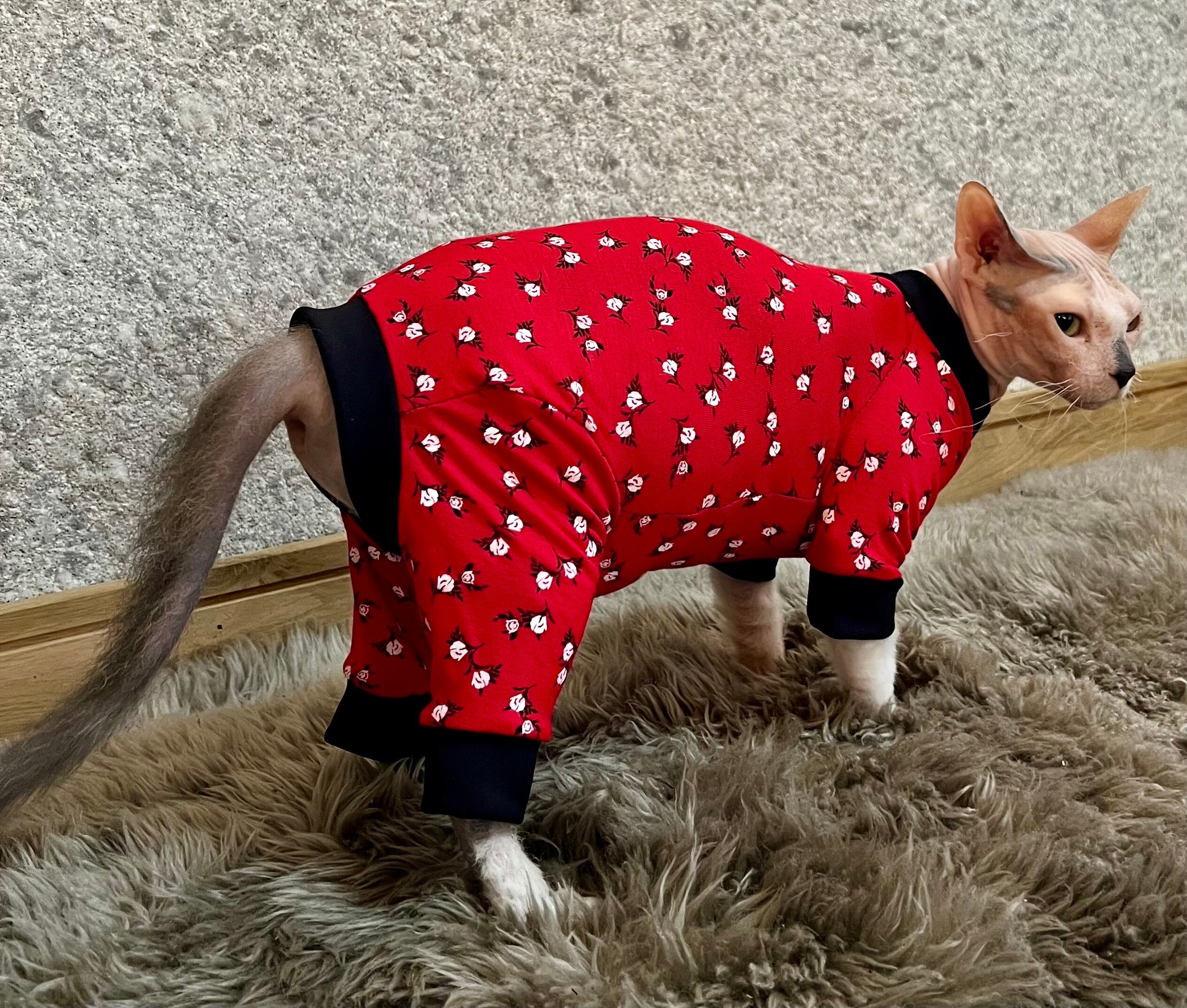 Comfortable and Trendy Sphynx Cat, Pajamas Perfectq Recovery, Suit All ...