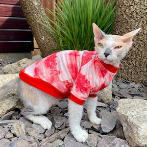 May include: A hairless cat wearing a red and white tie-dye shirt. The cat is sitting on a bed of rocks.