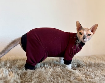 Puede incluir: Un gato sin pelo con un mono color burdeos con ribetes negros. El gato está de pie sobre una alfombra marrón esponjosa.