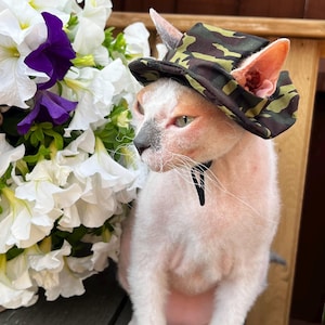 Military Cotton Hat for Sphynx & Bambino Cats – Lightweight Summer Cap, gift for pets