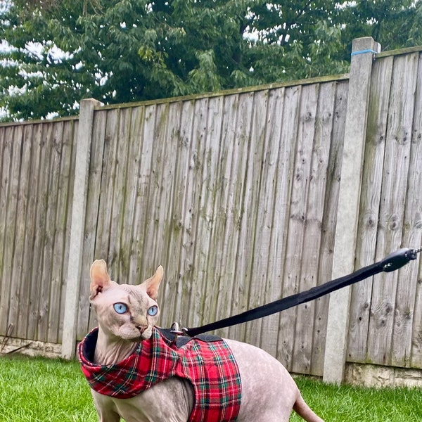 Cat Harness Escape Proof Jacket, cat Vest, Cat accessories