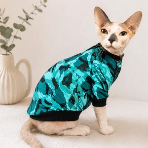 Langärmlige Kleidung für Sphynx-Katzen: Strickpullover