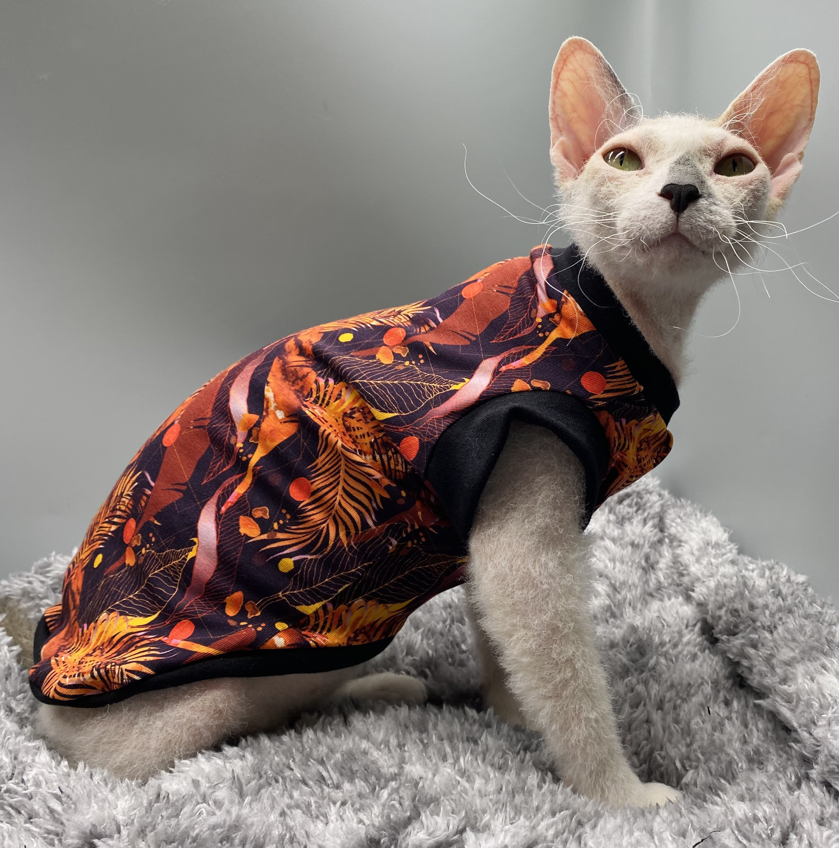 Sphynx Cat Clothes Sphynx Clothing Cat Clotheshairless Cat Etsy UK