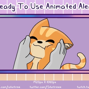 Ginger Cat Animated Twitch Alert | Animated Cat Face Squish Alert |