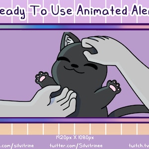 Black Cat Animated Twitch Alert | Animated Cat Face Pets Alert |