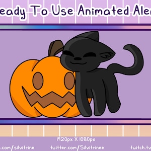 Black Cat Animated Twitch Alert | Animated Cat Pumpkin Snuggle Alert | Halloween Stream Asset