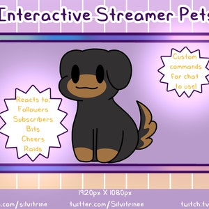 Dash hound Stream Pet | Uroczy animowany pies maskotka Stream Widget | Reaguje na zdarzenia i niestandardowe polecenia | 14 unikalnych animacji/wyrażeń