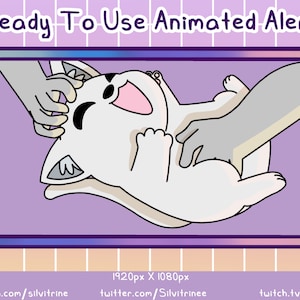 Alerta Twitch animado de gato branco | Alerta animado de cócegas de gato |
