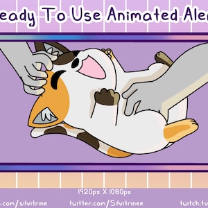 Calico Cat Animated Twitch Alert | Animated Cat Tickle Alert |