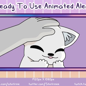 Alerta Twitch animado de gato branco | Alerta animado de tapinhas na cabeça do gato |