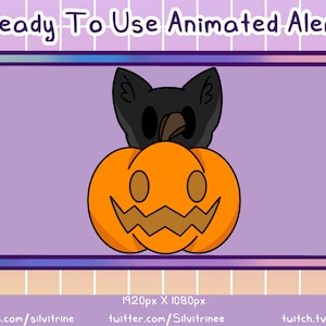 Black Cat Animated Twitch Alert | Animated Cat Pumpkin Peeping Alert | Halloween Stream Asset