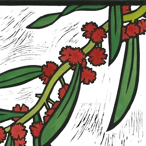 Wattle Vermelho, Cartão Linogravura, Cartão Aquarela, Cartão Nativo Australiano, Linogravura Australiana, flor rara, flora australiana, Wattle,