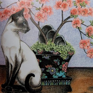 Simmi distracted,  coloured pencil, cat card, playful cat, siamese cat, blank card, moggies, kids book, cat drawing, bonsai.