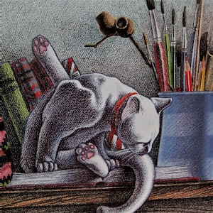 Blanch refocusing,  coloured pencil, cat card, square cat card, white cat, blank card, moggies, kids book, cat drawing, gumnuts, studio.