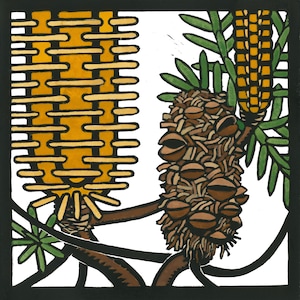 Banksia com Cone, Cartão Linocut, Cartão Em Branco, Cartão Nativo Australiano, Linocut Australiano, Banksiamen, flores silvestres australianas, May Gibbs