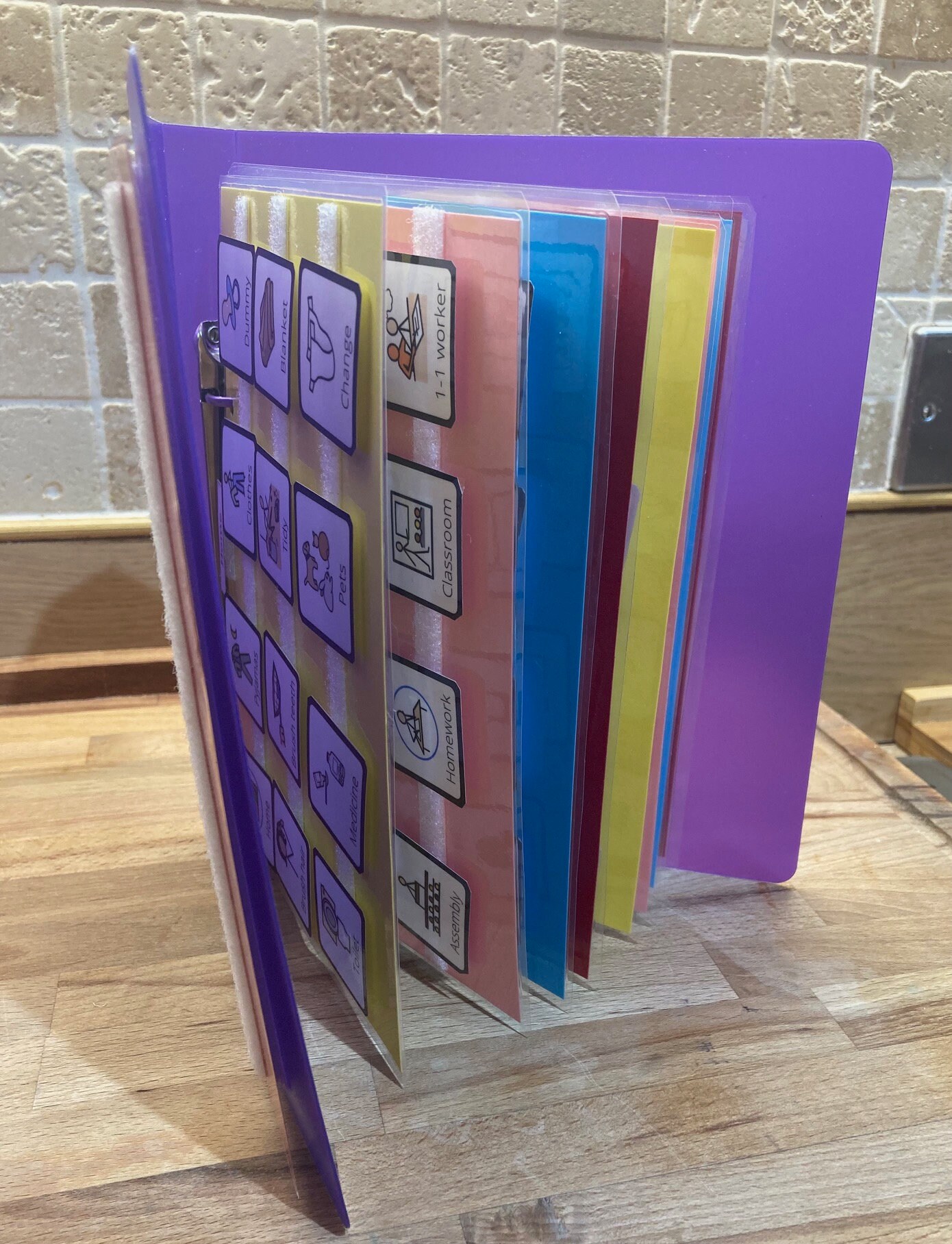 PECS Folder Book. A5. Symbols. Widget. Schedule. Special Etsy