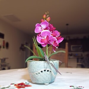 May include: A potted orchid with vibrant pink flowers and green leaves. The plant is in a light blue ceramic pot with decorative holes. The pot sits on a white tablecloth with floral embroidery, creating a decorative home accent.