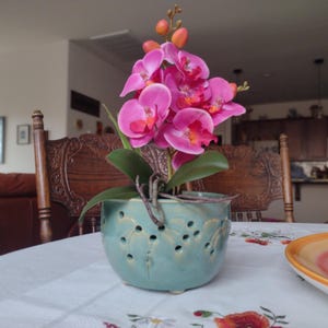 May include: A pink orchid plant in a green ceramic pot with drainage holes. The pot has a decorative design.
