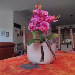 May include: A pink orchid plant in a white ceramic pot with a decorative cut-out design. The plant is sitting on a red and orange tablecloth.
