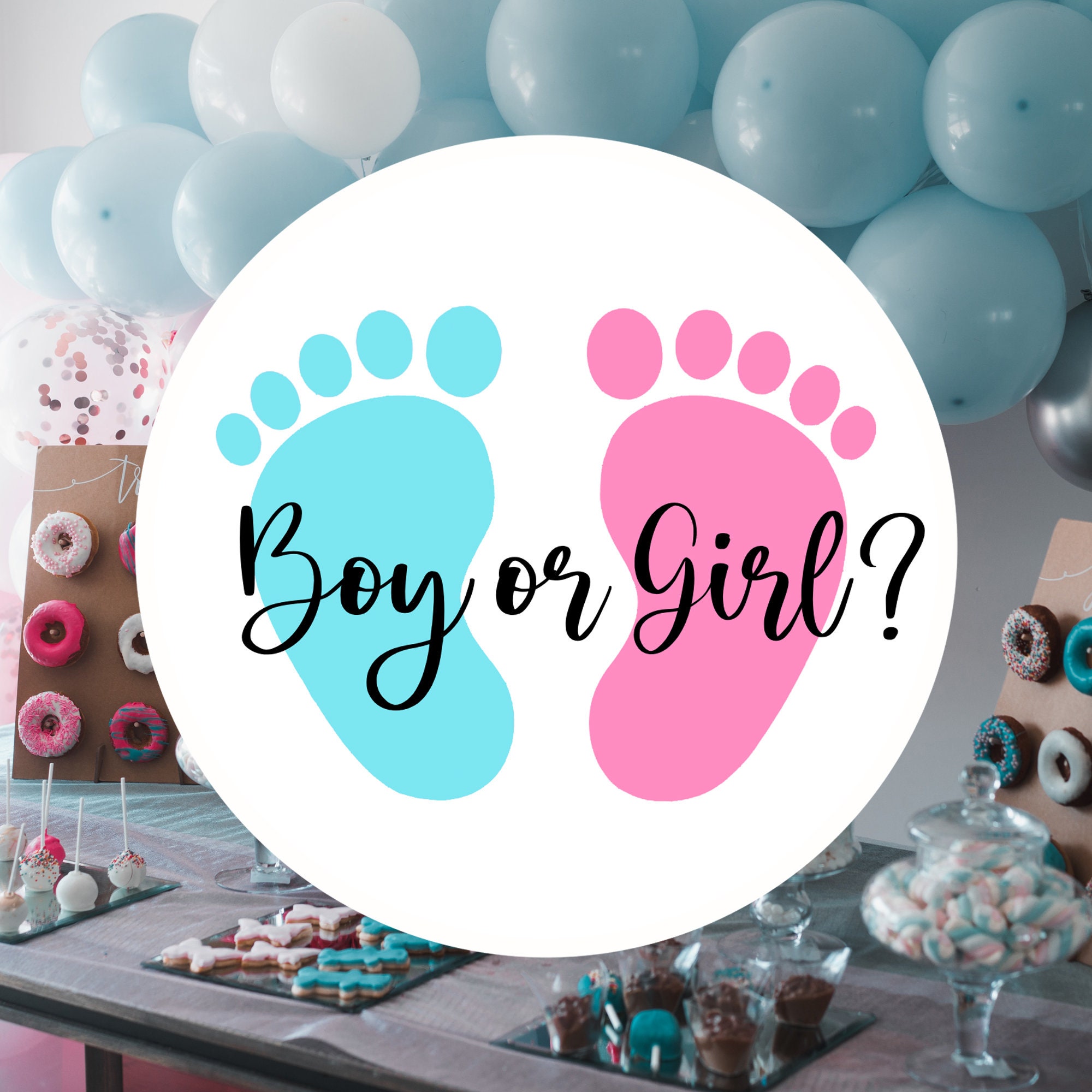 Boy or Girl Sticker Sheet Gender Reveal Stickers Etsy